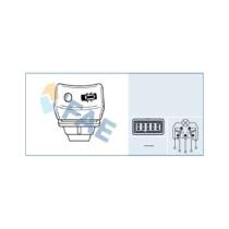 FAE 6125 - INTERRUPTOR TABLERO RENAULT 5, 9, 11, 14, 15, 17, 18, 20