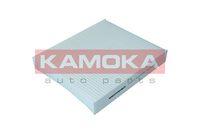 KAMOKA F403101 - POLEN CU2559
