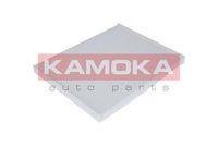 KAMOKA F404401 - POLEN CU2243