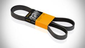 CORREAS  CONTINENTAL