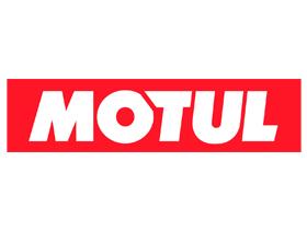 ACEITES LUBRICANTES  AUTOMOVIL 1 LITRO  MOTUL